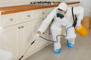 Jak skutecznie pozbyć się karaluchów z kuchni - sprawdzone metody i częste błędy